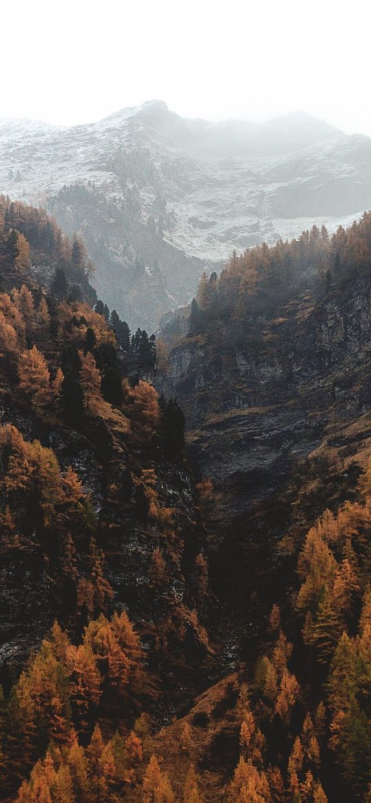 身份证号码归属地 App 批量核对界面，多行地址码输入框与结果清单，勾选状态与导出按钮位于底部